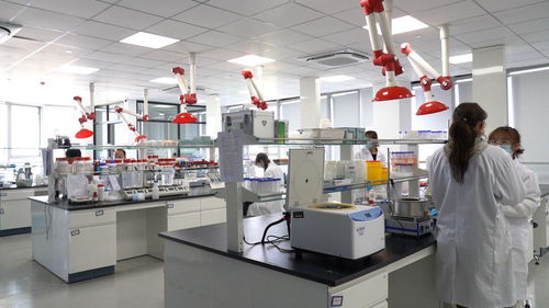 向新而行，专注蓝海 瑞凝生物六年磨一剑，以创新技术守护肿瘤放疗安全