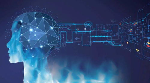 数学差也能学好计算机 布朗大学教授的洞见与技术开发之路